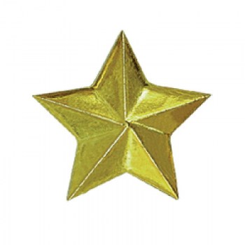 zvezda-bolshaya